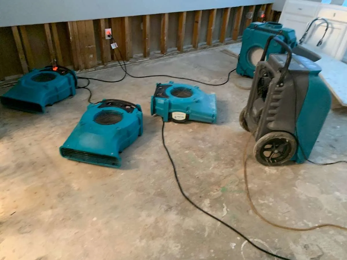 Water Damage Restoration services in Petal, MS